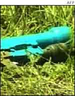 Shoulder-fired missile launcher found near a Kenyan runway (11/02)