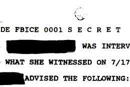 Secret Witness Report